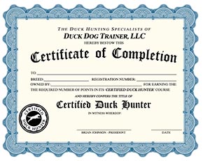 Duck Dog Certification - Duck Dog Training - Duck Dog Trainer